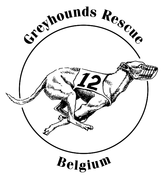 colorchart of Greyhounds picture